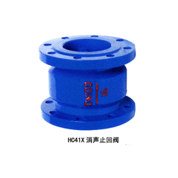 HC41X消声止回乐投·体育